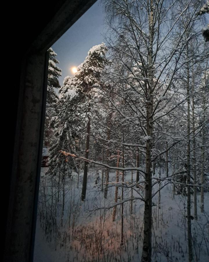 Room In Polar Circle 로바니에미 외부 사진